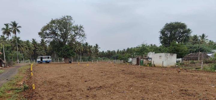 Gallery Cover Pic of P Sriram Nagar