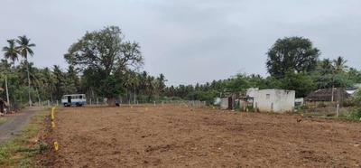 Gallery Cover Pic of P Sriram Nagar