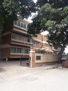 Coral Plaza Project Images