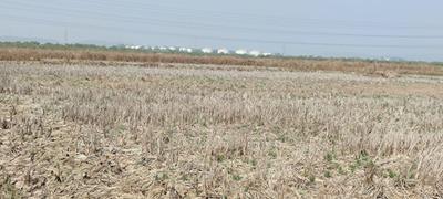 Royals Plots In Ulwe Project Images