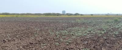 Project Image of 2200 Sq.ft Residential Plot / Land for sale in Dholera for Rs. 2000000