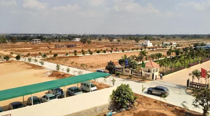 Gallery Cover Pic of Fortune Butterfly City