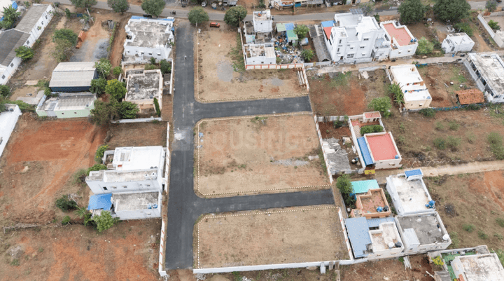 Gallery Cover Pic of Nila Avenue