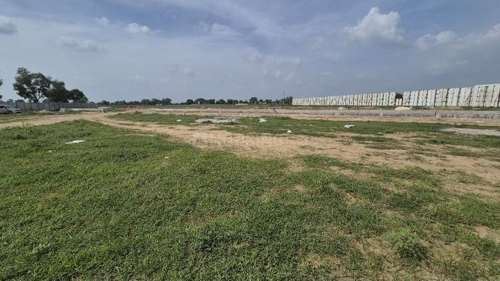 Palm Drive Main Image 1
