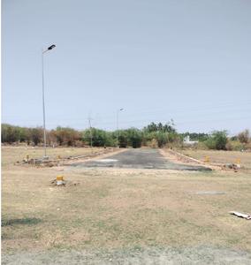 Gallery Cover Pic of P K Nagar