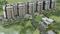 Shree Venkatesh Graffiti Phase 4 Elevation 2