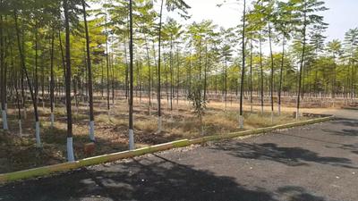 Residential Lands for Sale in Axia Greenlands