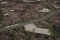 Oshian Highway Treasure Main Image 1