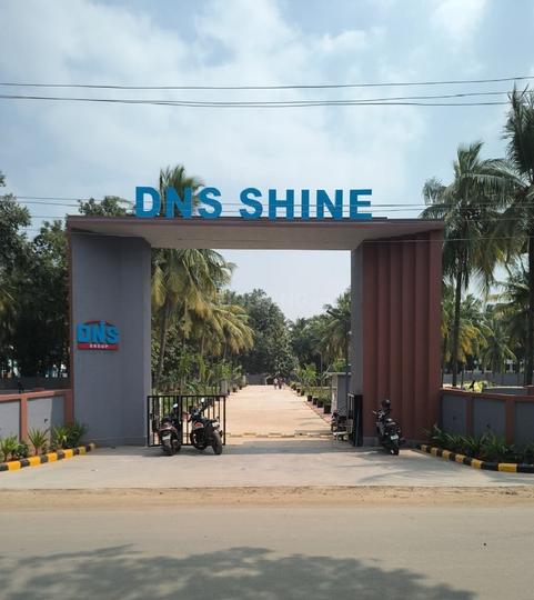 Gallery Cover Pic of DNS Shine