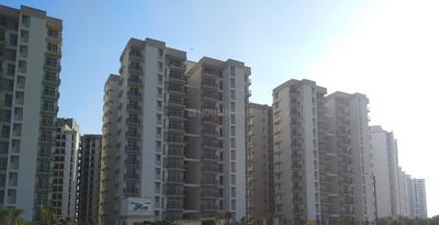 Shree Flora