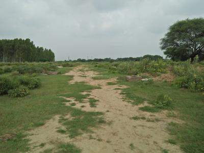 ATS Golf Meadows 1 Extn