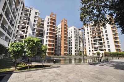 Gallery Cover Pic of Fort Oasis