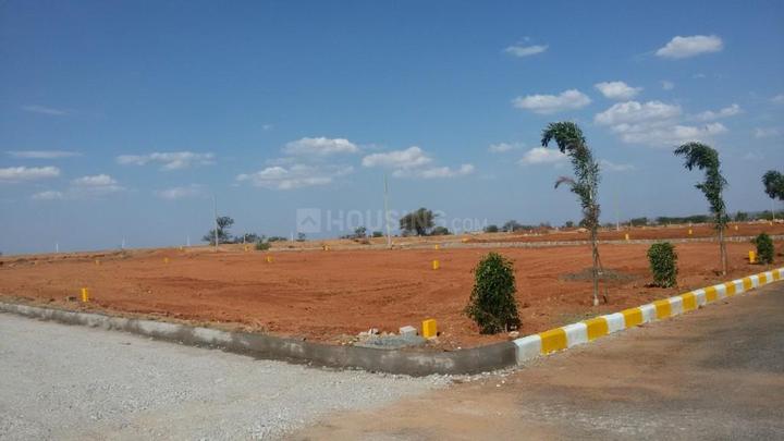 Gallery Cover Pic of Avigna Fortune County