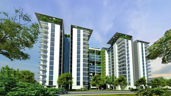 Gallery Cover Pic of Nitesh Cape Cod