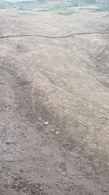 Residential Lands for Sale in Shyam Bungalows Vibhag 1