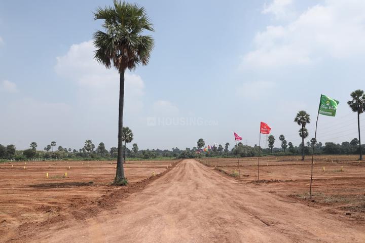 Gallery Cover Pic of SSR Silver Bliss