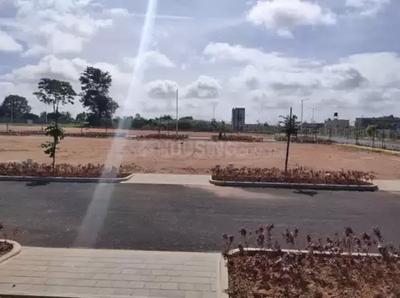 KNS Neoliva Project Images