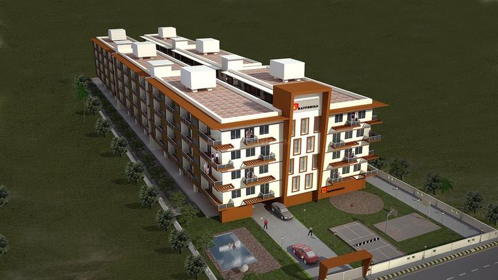 Gallery Cover Pic of Columbia Daffodils