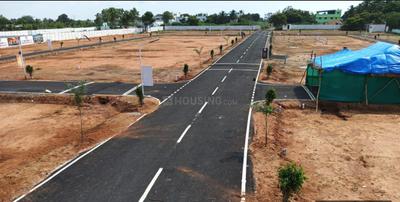 Majestic Avenue Project Images