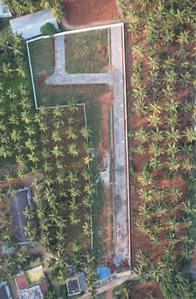 R Emerald Garden