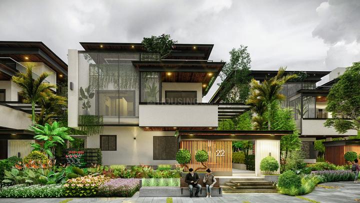 Gallery Cover Pic of Organo Kandawada