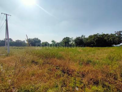 Peram Aditya Meadows