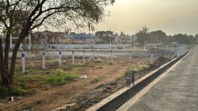 Dominant Globus SM Gardens Project Images