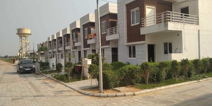 Gallery Cover Pic of Auric Vedas