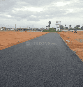Epsilong Project Images