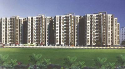 Aryan Golden Arena D Project Images