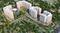 Gallery Cover Pic of Prestige Finsbury Park Hyde
