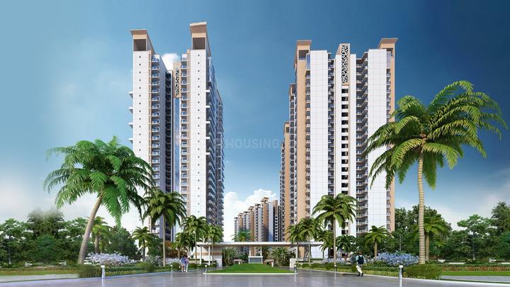 Gallery Cover Pic of Gaurs Sports Wood