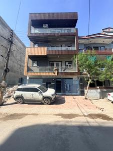 Mahadev Aster Wood Floors