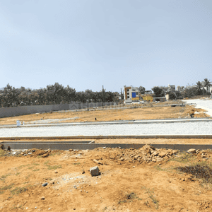 The Quiet Nest Project Images