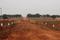 Gallery Cover Pic of Building True Grande Commercial B Block
