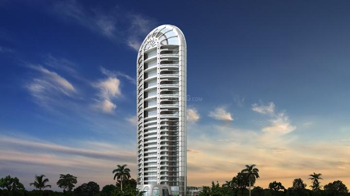 Gallery Cover Pic of Akshar EL Castillo