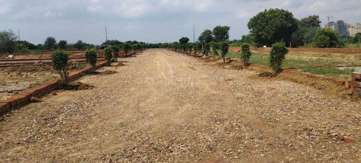 Gallery Cover Pic of Virasat Royal Paradise