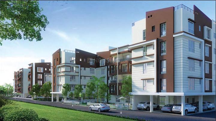 Gallery Cover Pic of C P Universe