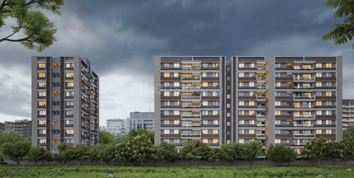 Gallery Cover Pic of The First