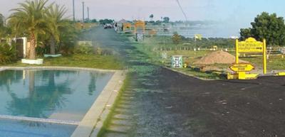 M S Royal City