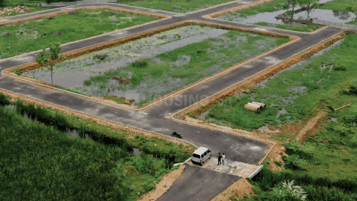 Gallery Cover Pic of Sana