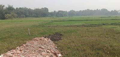 Guruloy Green Pearl City Project Images
