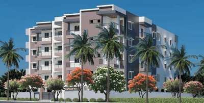 Camellia Vital Project Images
