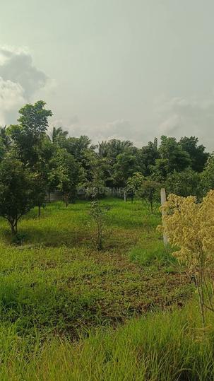 Gallery Cover Pic of Viraaditya Farm Lands