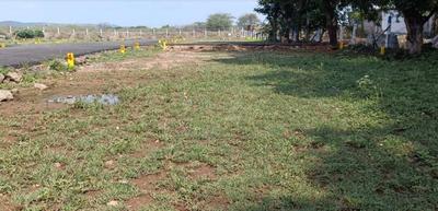 Gallery Cover Pic of APT Garden