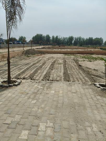 Gallery Cover Pic of ADN Surya Green park