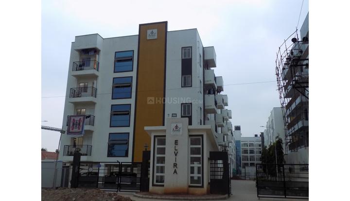 Gallery Cover Pic of Coevolve Asset Elvira