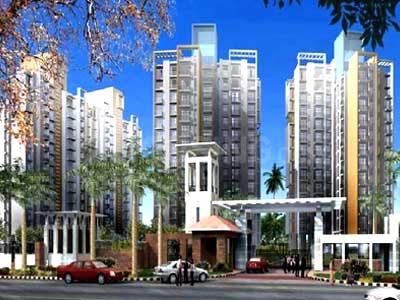 Gallery Cover Pic of Apex Green