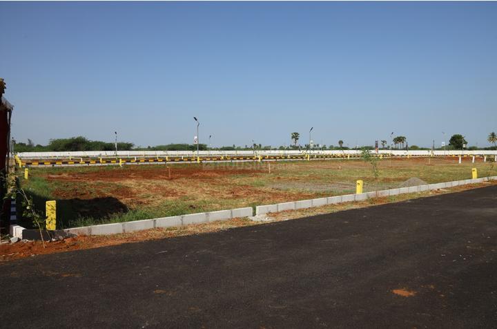 Gallery Cover Pic of Star Luxor