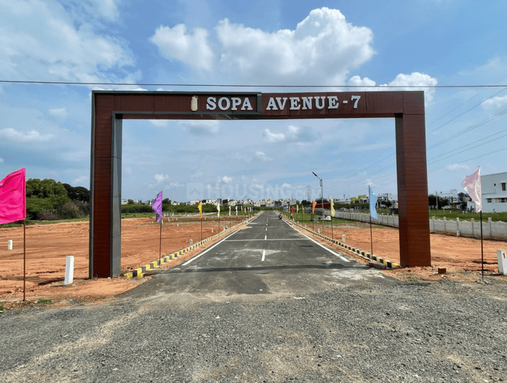 Gallery Cover Pic of Sopa Avenue 7